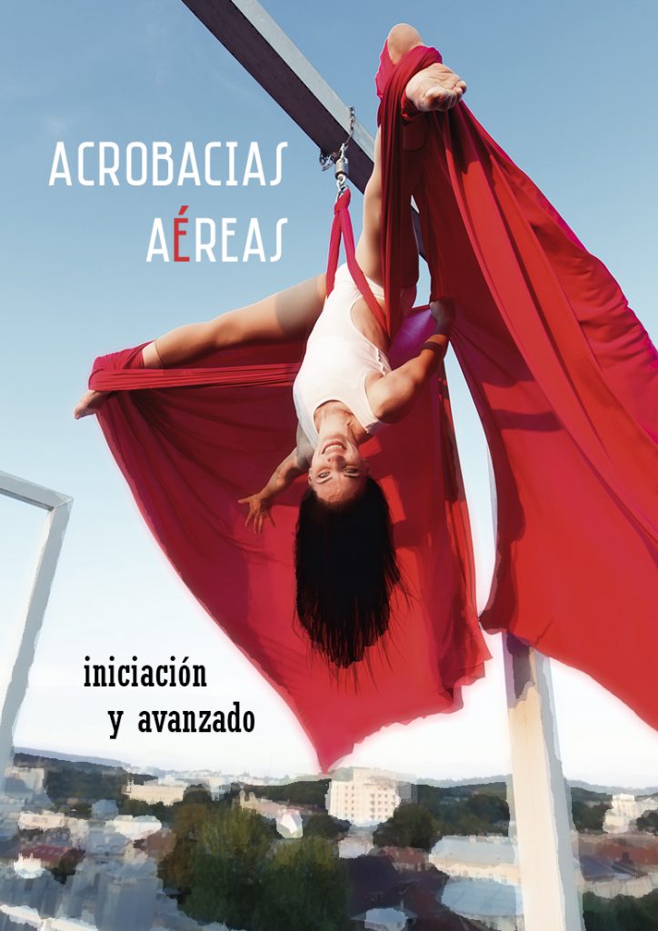 cartel del taller de acrobacias aéreas