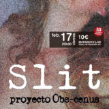 SLIT - proyecto OBS-CENUS