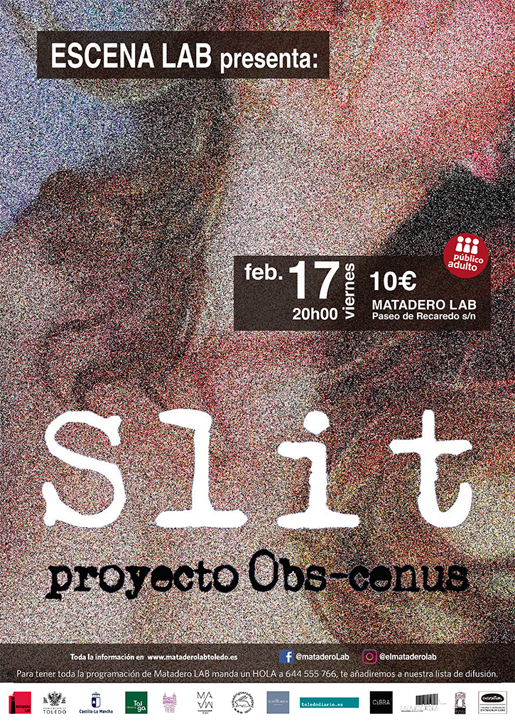 SLIT - proyecto OBS-CENUS